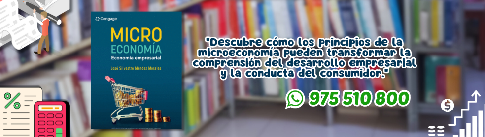 libro economa