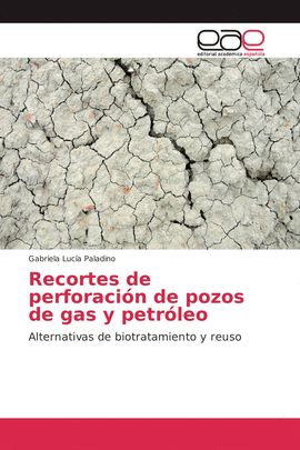 RECORTES DE PERFORACION DE POZOS DE GAS Y PETRLEO